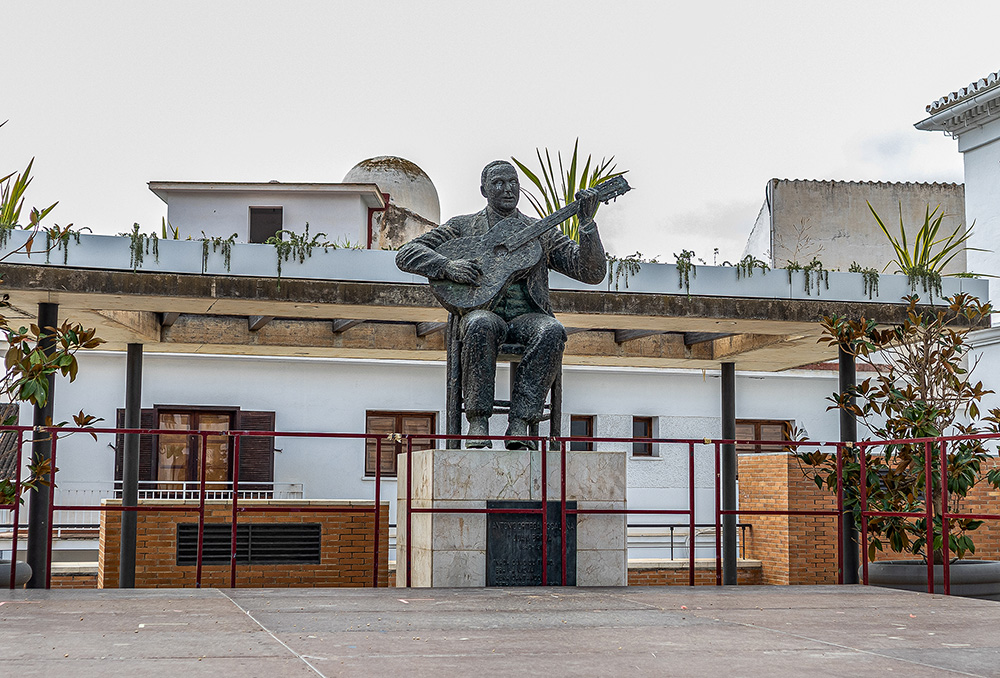 "Din Pics" cat 22 - Flamenco