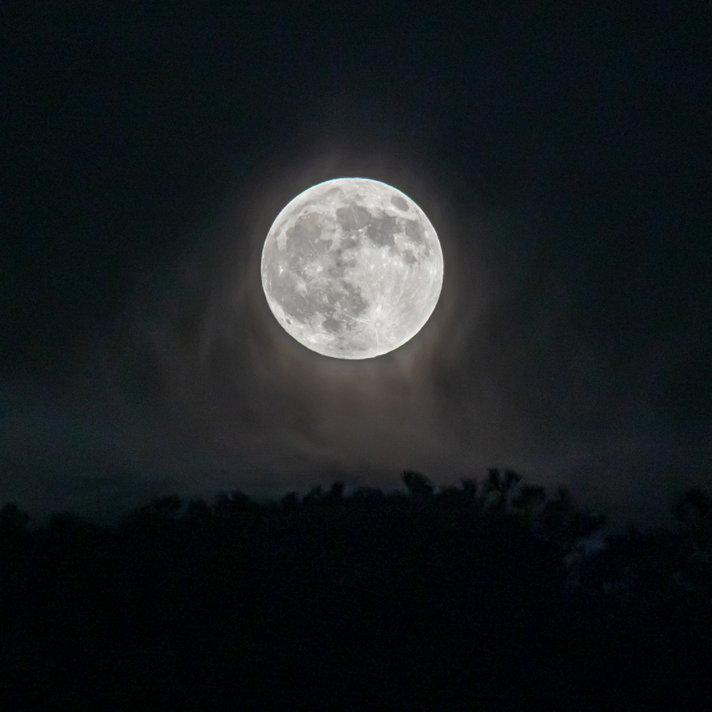 "Din Pics" cat 23 - Moon