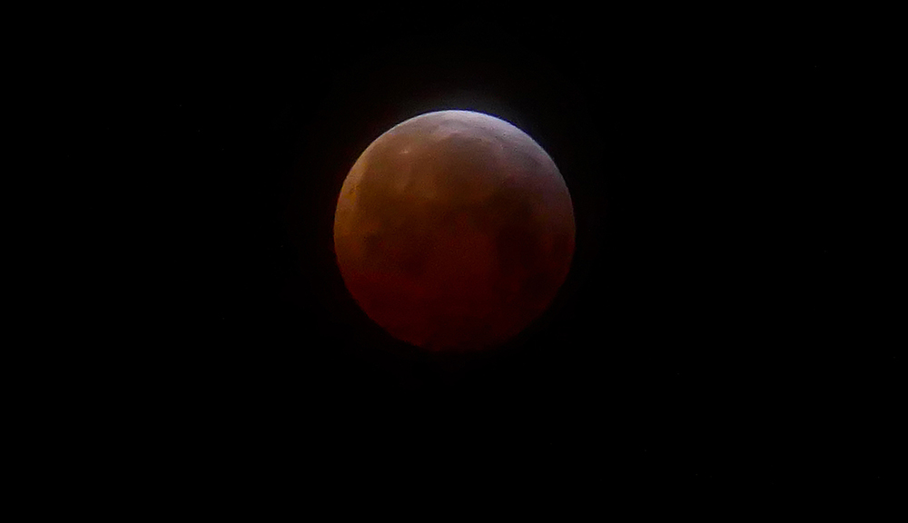 "Din Pics" cat 24 - Blood Moon