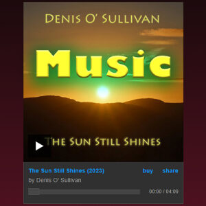 Din.ie Music Image