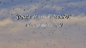 Sonata De Los Estorninos