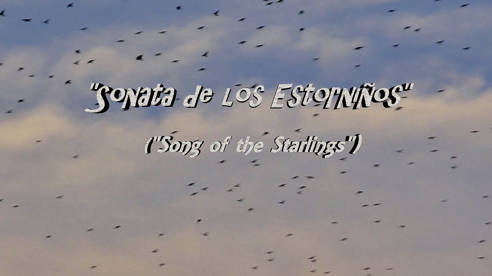 Sonata De Los Estorninos