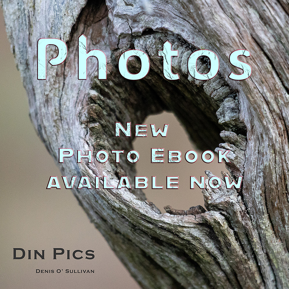 Din Photo Page Image