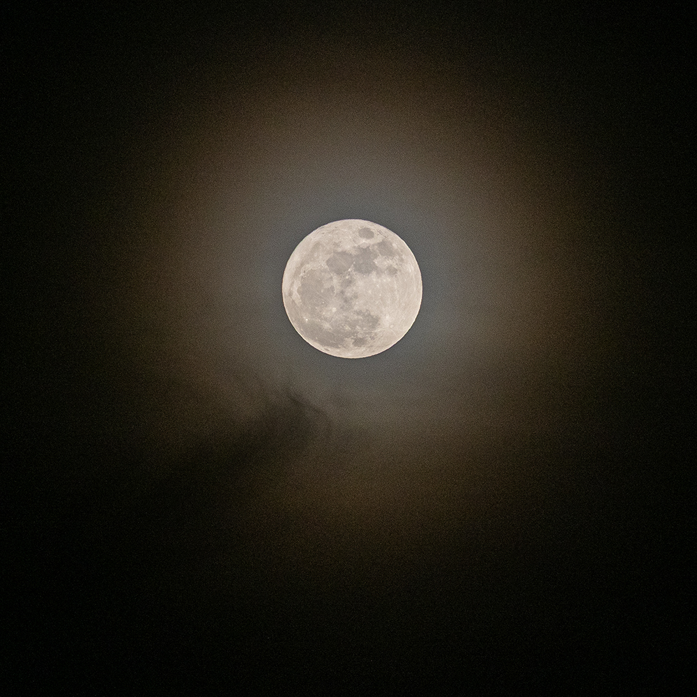 Full Moon May 2026