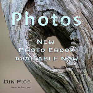 Din Photo Page Image